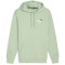 PUMA Essentials+ 2 Col Small Logo Fleece-Hoodie Herren 95 - pure green XL