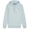 PUMA Essentials+ 2 Col Small Logo Fleece-Hoodie Herren 22 - turquoise surf S