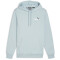 PUMA Essentials+ 2 Col Small Logo Fleece-Hoodie Herren 22 - turquoise surf XL