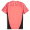PUMA individualFINAL Forever Faster Trikot Herren 57 - sunset glow/sun stream S