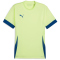 PUMA Individual Padel Trikot Herren 21 - fizzy apple S