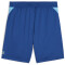 PUMA Individual Padel Trainingsshorts Herren 22 - cobalt glaze/luminous blue XXL