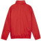 PUMA teamGOAL Allwetterjacke Kinder 01 - PUMA red/PUMA white 116