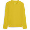 PUMA teamGOAL Baselayer Langarmshirt Kinder 07 - faster yellow/sport yellow 116