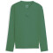 PUMA teamGOAL Baselayer Langarmshirt Kinder 05 - sport green/power green 116