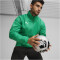 PUMA teamGOAL Allwetterjacke Herren 05 - sport green/puma white M