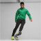 PUMA teamGOAL Allwetterjacke Herren 05 - sport green/puma white M