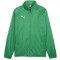 PUMA teamGOAL Allwetterjacke Herren 05 - sport green/puma white L