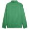 PUMA teamGOAL Allwetterjacke Herren 05 - sport green/puma white L