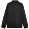 PUMA teamGOAL Allwetterjacke Herren 03 - PUMA black/PUMA white M