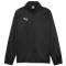 PUMA teamGOAL Allwetterjacke Herren 03 - PUMA black/PUMA white L