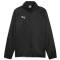 PUMA teamGOAL Allwetterjacke Herren 03 - PUMA black/PUMA white XL