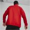 PUMA teamGOAL Allwetterjacke Herren 01 - PUMA red/PUMA white S