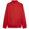 PUMA teamGOAL Allwetterjacke Herren 01 - PUMA red/PUMA white S