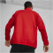 PUMA teamGOAL Allwetterjacke Herren 01 - PUMA red/PUMA white XXL