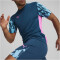 PUMA individualFINAL Shorts Herren 56 - ocean tropic/bright aqua L