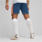 PUMA Neymar Jr. Creativity Trainingsshorts Herren 13 - ocean tropic/hot heat S