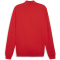 PUMA teamGOAL Casual Trainingsjacke Herren 01 - PUMA red/PUMA white XL