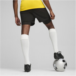 PUMA teamGOAL 2in1 Shorts Herren 03 - PUMA black/PUMA white L