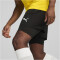 PUMA teamGOAL 2in1 Shorts Herren 03 - PUMA black/PUMA white L