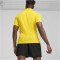 PUMA teamGOAL Poloshirt Herren 07 - faster yellow/puma black/sport yellow M