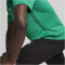PUMA teamGOAL Poloshirt Herren 05 - sport green/puma white/power green S