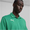 PUMA teamGOAL Poloshirt Herren 05 - sport green/puma white/power green 3XL
