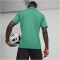 PUMA teamGOAL Poloshirt Herren 05 - sport green/puma white/power green 3XL