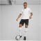 PUMA teamGOAL Poloshirt Herren 04 - PUMA white/PUMA black/feather gray 3XL
