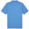 PUMA teamGOAL Poloshirt Herren 02 - electric blue lemonade/puma white/puma team royal XL