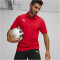 PUMA teamGOAL Poloshirt Herren 01 - PUMA red/PUMA white/fast red 3XL