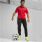 PUMA teamGOAL Poloshirt Herren 01 - PUMA red/PUMA white/fast red 3XL