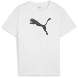 PUMA teamRISE Logo Baumwolltrikot Jungen 04 - PUMA...