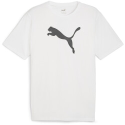 PUMA teamRISE Logo Baumwolltrikot Herren 04 - PUMA...