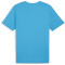 PUMA teamRISE Logo Baumwolltrikot Herren 02 - speed blue/puma white S