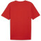 PUMA teamRISE Logo Baumwolltrikot Herren 01 - PUMA red/PUMA white S