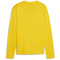 PUMA teamGOAL Trainings-Sweatshirt Damen 07 - faster yellow/puma black/sport yellow XS