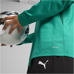 PUMA teamGOAL Trainings-Sweatshirt Damen 05 - sport green/power green/puma white XS