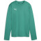 PUMA teamGOAL Trainings-Sweatshirt Damen 05 - sport green/power green/puma white XS