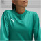 PUMA teamGOAL Trainings-Sweatshirt Damen 05 - sport green/power green/puma white XS
