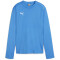 PUMA teamGOAL Trainings-Sweatshirt Damen 02 - electric blue lemonade/puma white/puma team royal M