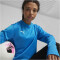 PUMA teamGOAL Trainings-Sweatshirt Damen 02 - electric blue lemonade/puma white/puma team royal M