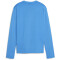 PUMA teamGOAL Trainings-Sweatshirt Damen 02 - electric blue lemonade/puma white/puma team royal M