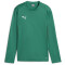 PUMA teamGOAL Trainings-Sweatshirt Jungen 05 - sport green/power green/puma white 116