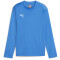 PUMA teamGOAL Trainings-Sweatshirt Jungen 02 - electric blue lemonade/puma white/puma team royal 128