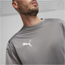 PUMA teamGOAL Trainings-Sweatshirt Herren 13 - cast iron/puma white/shadow gray S
