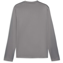 PUMA teamGOAL Trainings-Sweatshirt Herren 13 - cast iron/puma white/shadow gray S