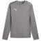 PUMA teamGOAL Trainings-Sweatshirt Herren 13 - cast iron/puma white/shadow gray S