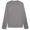 PUMA teamGOAL Trainings-Sweatshirt Herren 13 - cast iron/puma white/shadow gray S