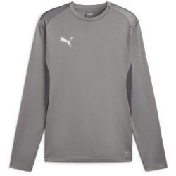 PUMA teamGOAL Trainings-Sweatshirt Herren 13 - cast...
